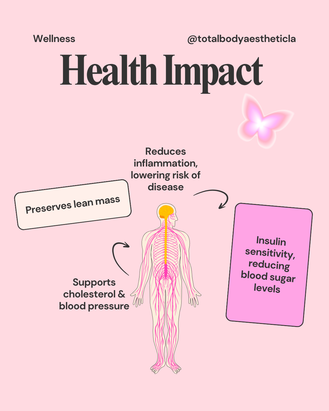 GLP-1 health impact insulin sensitivity reduced inflammation cholesterol blood pressure lean mass Total Body Aesthetic